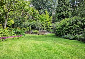 Optimiser l'expérience du jardin à Poincy